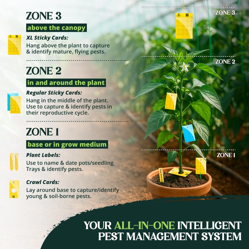 Catchmaster GRO Yellow Pre-Cut Ready to Use Sticky Traps 50PK, Bug & Fly Trap with Center Hole for Crawling Insects, Pest Control for Home, Garden & Greenhouse, Protect Live Plants Indoor & Outdoor - Image 2