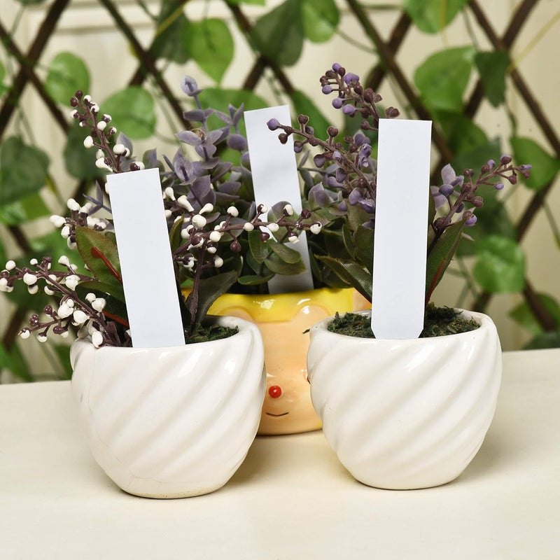 Mihey 1000 Pcs 4 Inch Plastic Plant Nursery Garden Labels Waterproof Pot Markers Garden Stake Tags White - Image 5