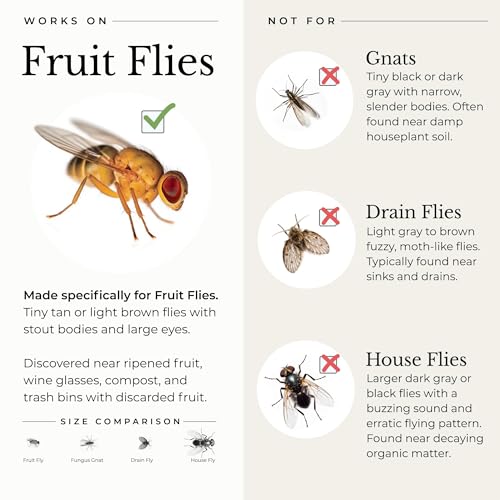 Wondercide - Fruit Fly Traps for Indoors - Fruit Fly Killer - Pet and People Safe - Made in USA & Plant Based - 5.4 oz - 2 Pack - Image 4