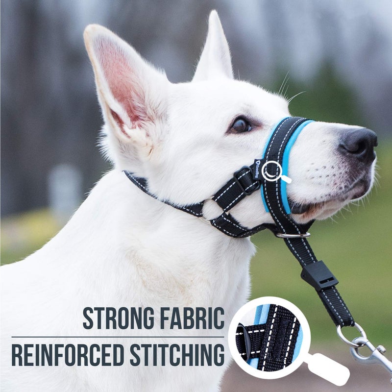 GoodBoy Dog Head Halter with Safety Strap - Stops Heavy Pulling On The Leash - Padded Headcollar for Small Medium and Large Dog Sizes - Head Collar Training Guide Included (Size 2, Blue) - Image 4