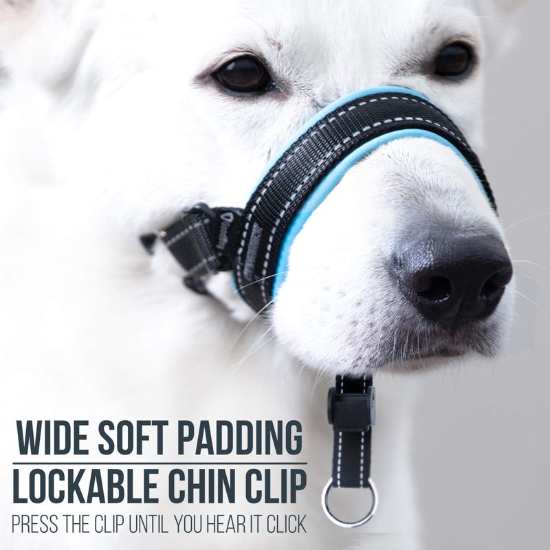 GoodBoy Dog Head Halter with Safety Strap - Stops Heavy Pulling On The Leash - Padded Headcollar for Small Medium and Large Dog Sizes - Head Collar Training Guide Included (Size 2, Blue) - Image 3