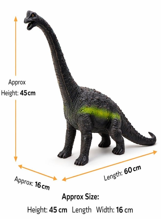 DTR Creation Brachiosaurus Dinosaur Toy ? 60 cm Large Realistic Dino Figure, Brown Color, Soft Rubber Prehistoric Animal Model for Kids - Image 3