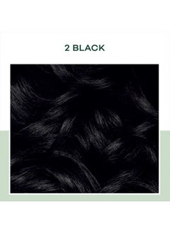CLAIROL Natural Instincts Demi-Permanent Hair Dye, 2 Black Hair Color, Pack of 3  - Image 2