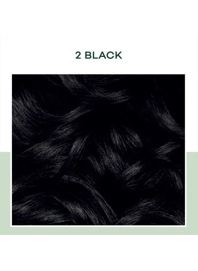 CLAIROL صبغة شعر دائمة شبه طبيعية، 2 لون أسود، عبوة من 3 - Image 2
