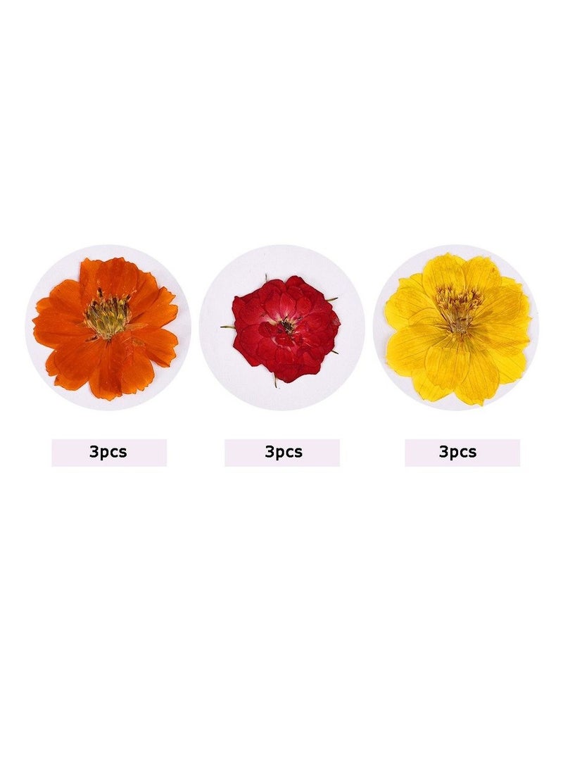 Graffiti Resin Real Dried Flower Natural Dry Plants For Candle Epoxy Resin Pendant Necklace Jewelry Making Craft Diy Accessori  - Image 2