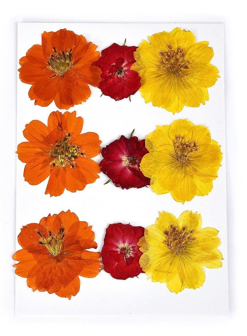 Graffiti Resin Real Dried Flower Natural Dry Plants For Candle Epoxy Resin Pendant Necklace Jewelry Making Craft Diy Accessori  - Image 1
