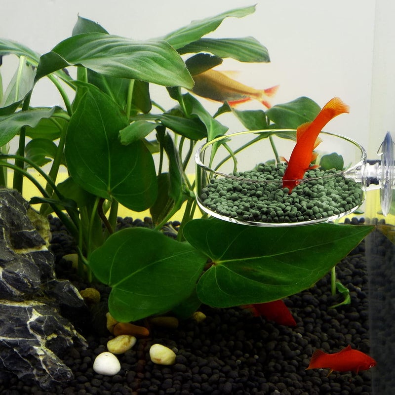 WEAVERBIRD 60mm Aquarium Shrimp Feeder Dish with Suction Glass Fish Tank Feeding Bowls Round Clear Dishes Tray - Image 3