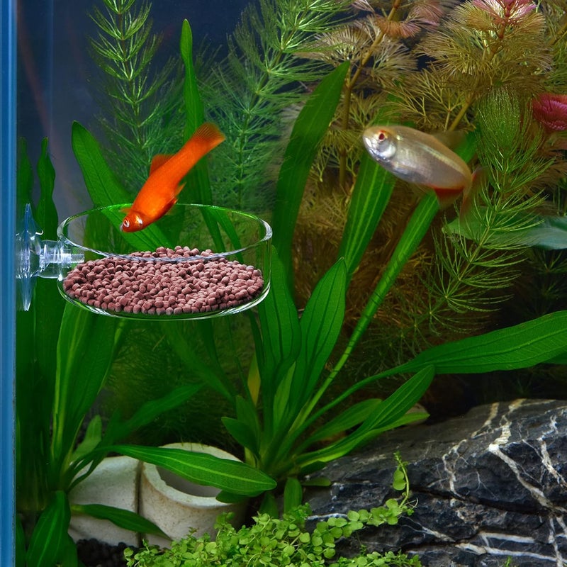 WEAVERBIRD 60mm Aquarium Shrimp Feeder Dish with Suction Glass Fish Tank Feeding Bowls Round Clear Dishes Tray - Image 4
