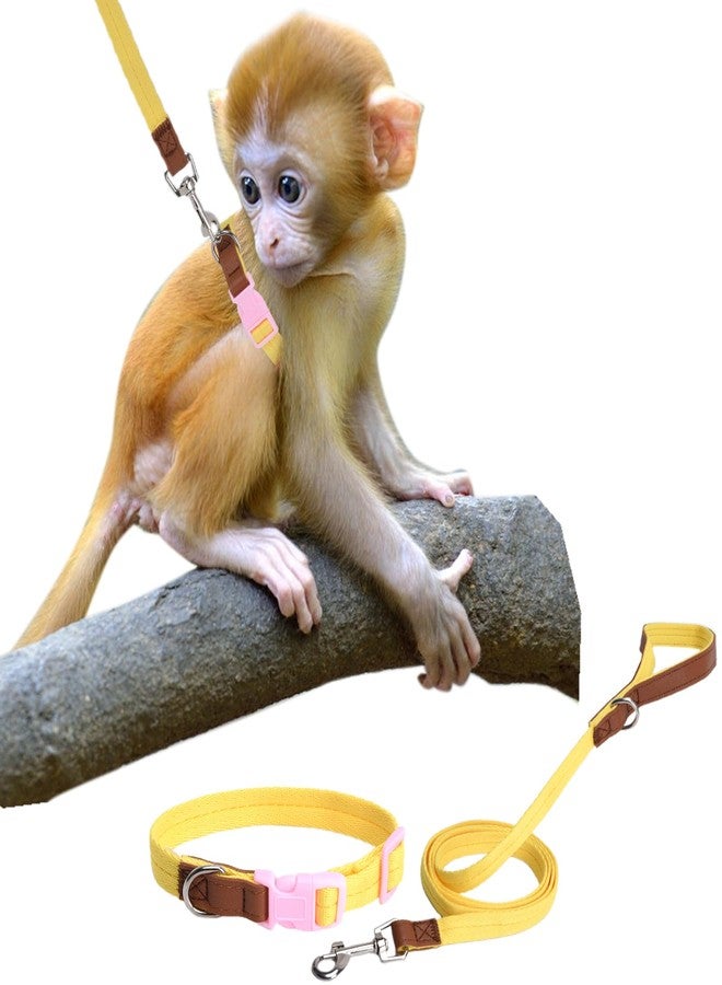 SoeKoa Mini Monkey Leash, Adjustable Monkey Strap with Belly Bands and Matching Leash for Marmoset Monkey, Maximum Dimension 5.7 Inches for Monkey, Comfortable and Durable - Image 1