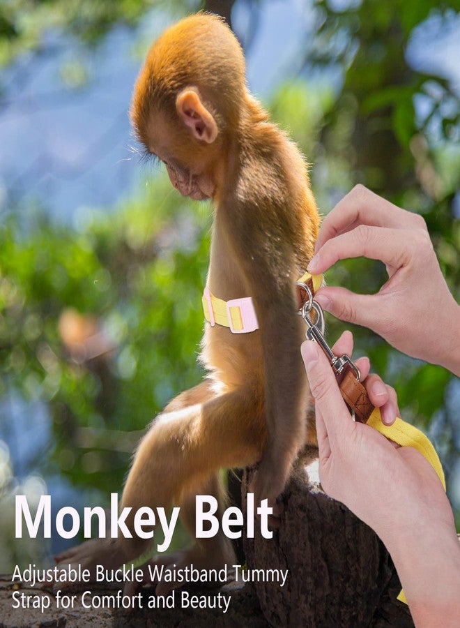 SoeKoa Mini Monkey Leash, Adjustable Monkey Strap with Belly Bands and Matching Leash for Marmoset Monkey, Maximum Dimension 5.7 Inches for Monkey, Comfortable and Durable - Image 4