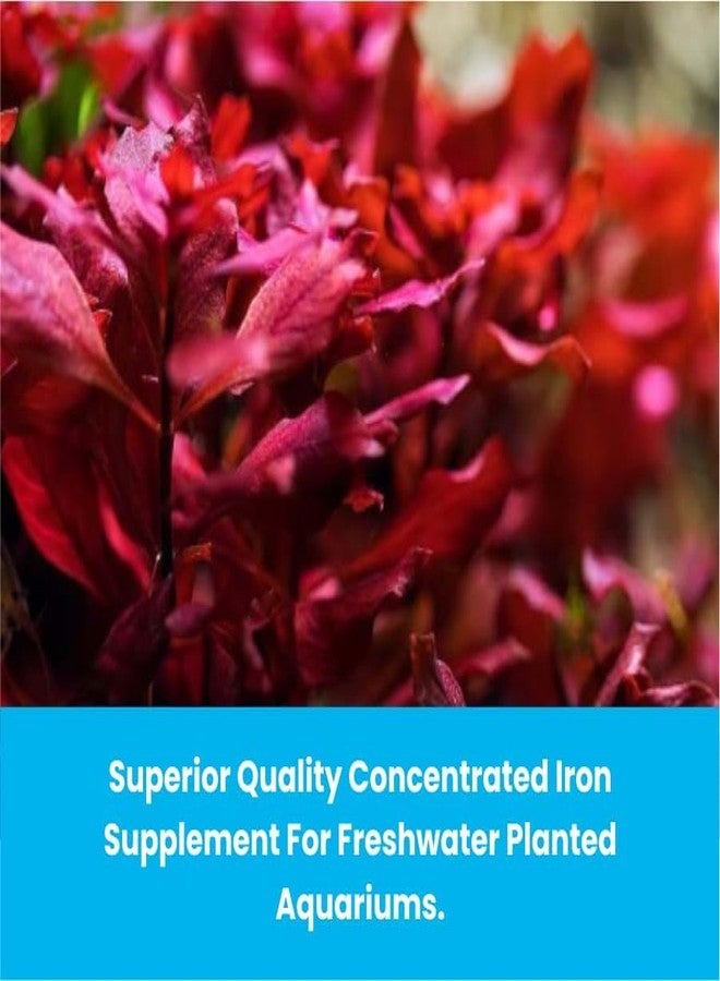 الطبيعة المائية كبسولات جذور AquaNature® Flora Fe (III) مغذيات بطيئة الإطلاق لأحواض السمك المزروعة بالمياه العذبة (30 قرصًا) - Image 5