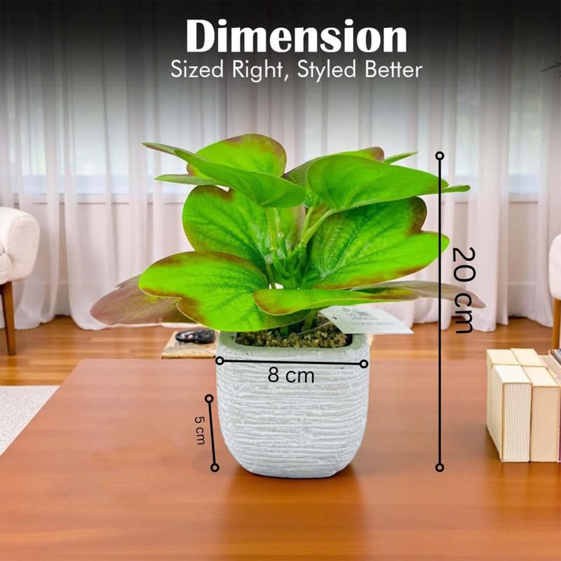 Go Hooked Artificial Plant with Ceramic Pot 20cm | Decorative Indoor Potted Plant for Home Décor, Office Desk, Living Room, Bedroom & Tabletop Decoration | Low Maintenance Long-Lasting Gifting Accent - Image 5