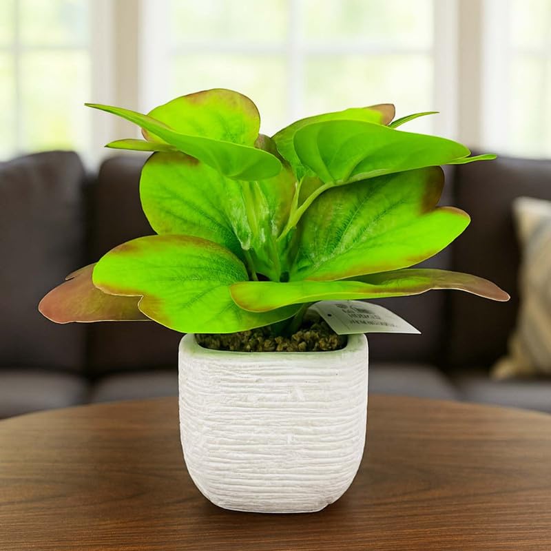 Go Hooked Artificial Plant with Ceramic Pot 20cm | Decorative Indoor Potted Plant for Home Décor, Office Desk, Living Room, Bedroom & Tabletop Decoration | Low Maintenance Long-Lasting Gifting Accent - Image 1