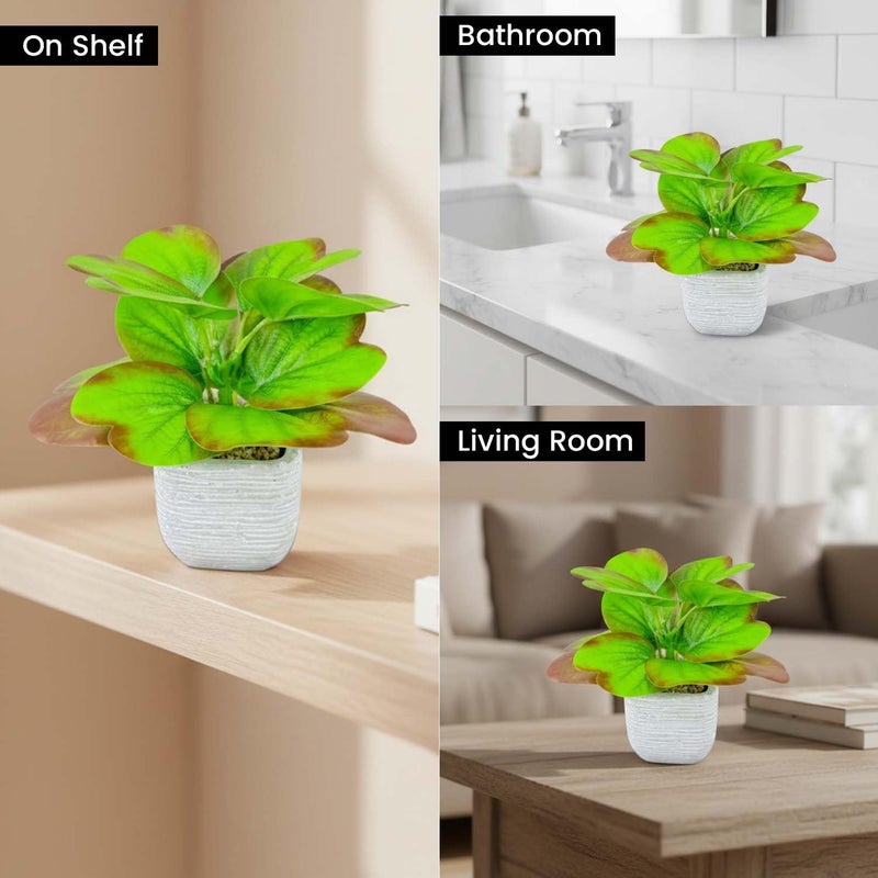 Go Hooked Artificial Plant with Ceramic Pot 20cm | Decorative Indoor Potted Plant for Home Décor, Office Desk, Living Room, Bedroom & Tabletop Decoration | Low Maintenance Long-Lasting Gifting Accent - Image 4