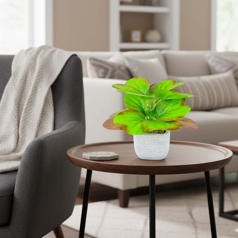 Go Hooked Artificial Plant with Ceramic Pot 20cm | Decorative Indoor Potted Plant for Home Décor, Office Desk, Living Room, Bedroom & Tabletop Decoration | Low Maintenance Long-Lasting Gifting Accent - Image 2