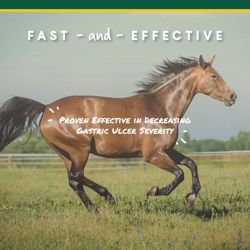 Manna Pro Corta-Flx U-Gard Pellets - Equine Digestive Supplement to Maintain Gastric Health - Helps Prevent Ulcer Formation - 10 LB - Image 4
