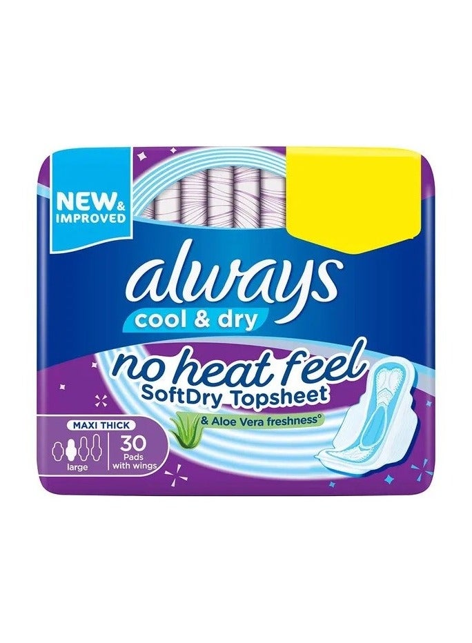 أولويز بارد وجاف، 30 فوطة مع الأجنحة - Image 1