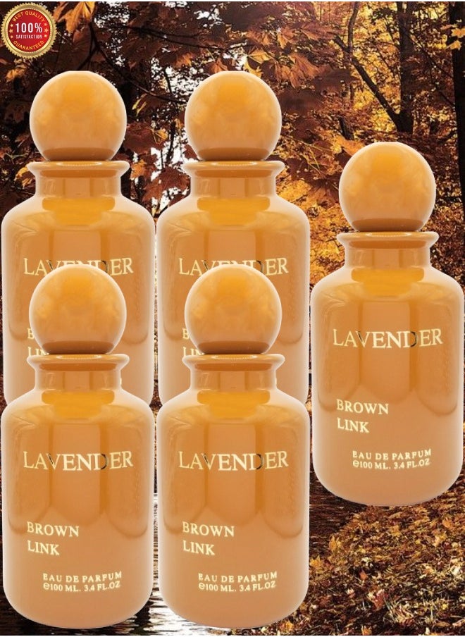 5 Pieces Brown Link Lavender EDP 100ML - pzsku/ZC41F3DD2D6C346B6FDD8Z/45/_/1712610755/e1ca13bf-2bc0-4a0e-8502-40251ed93334