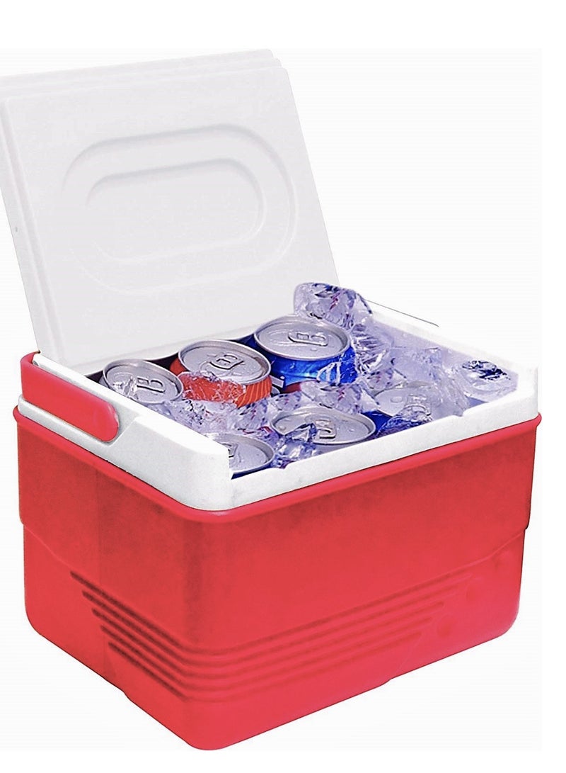 PRINCEWARE 6-Litre Ice Box Thermo insulated Picnic Cool Box-Thermo Keeper Container Expanded Cooler Fishing Ice Box- Multicolor - Image 4