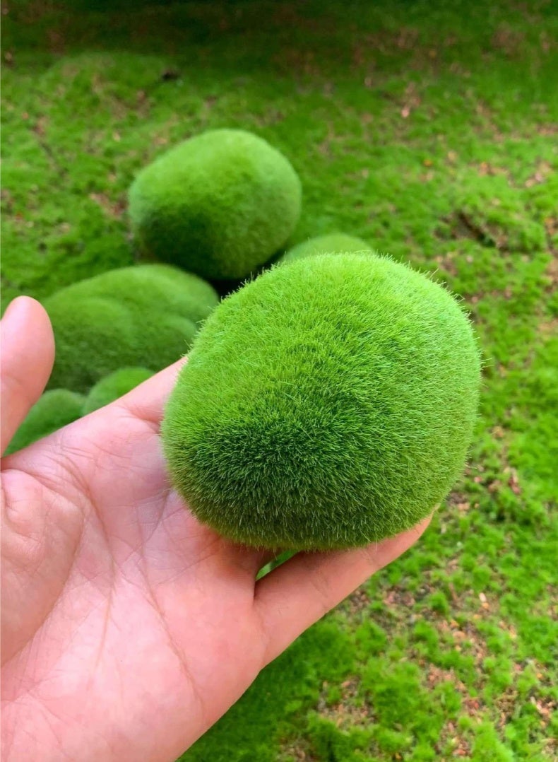 In Air 7Pcs Simulated Moss Stone, Simulated Moss Stone, Landscape Decoration Ornaments, Photography Props, Used In Lawns, Flower Pots Or Gardens - Image 4