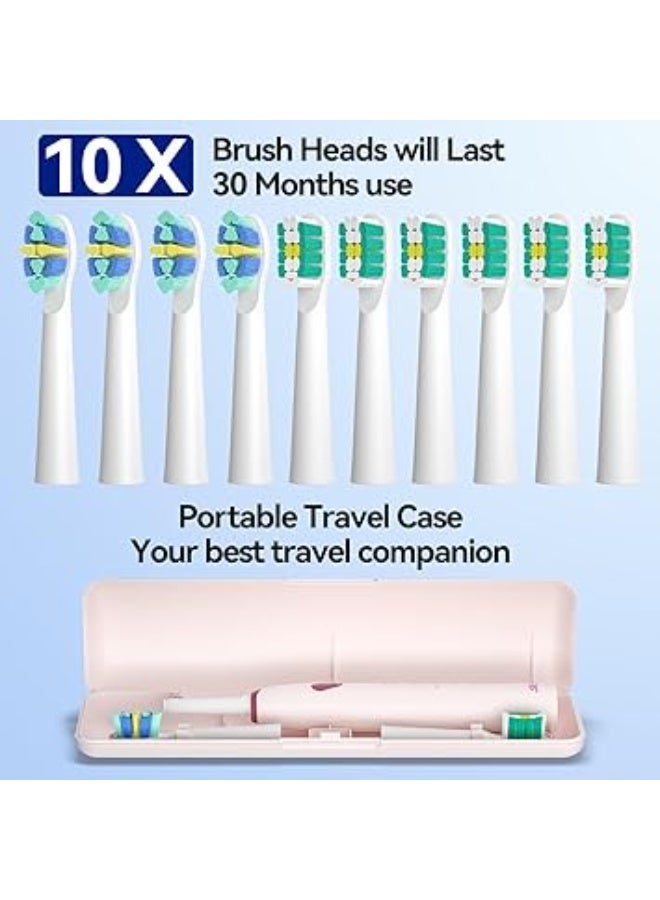 سيجو فرشاة أسنان - Image 2