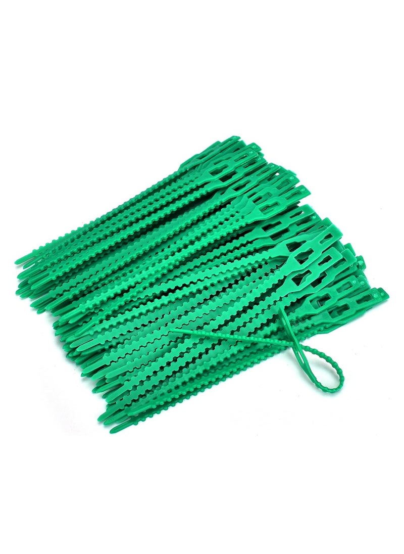 RATSAW 150 Pcs Adjustable Garden Plant Ties for Plants Shrubs Trees and House Cable Ties 3 Sizes  - Image 1