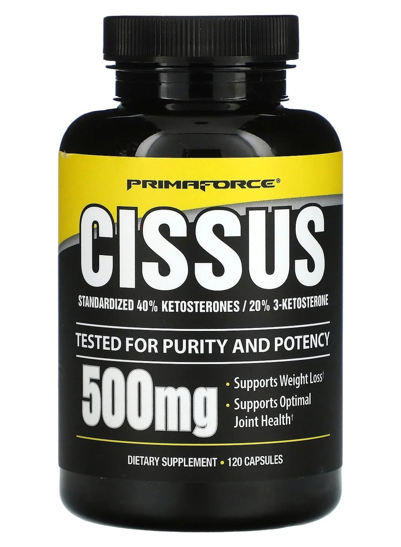 بريما فورس سيسوس 500 ملجم - 120 كبسولة (500 ملجم لكل كبسولة) - Image 1