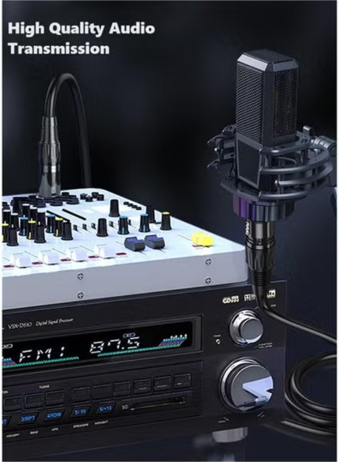 Peachjoy XLR Cables, Microphone Cables (10 ft 4N OFC WIRE) XLR Male to XLR Female Balanced 3 PIN Mic Cables, Compatible with Preamps Speaker Systems and More, 6MM PVC Jacket, XLR Cable (3m) - Image 4