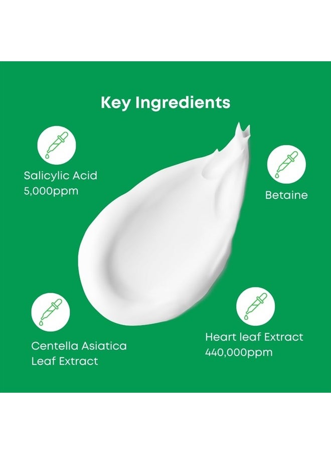 NINELESS - A-Control Heartleaf & BHA Cleanser 120ml - Image 1