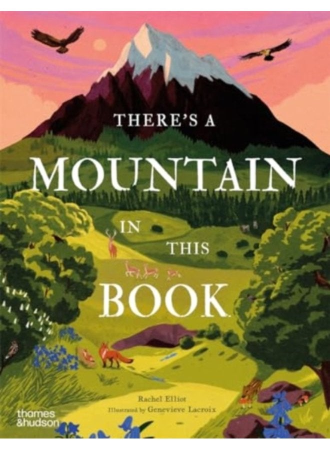 There s a Mountain in This Book - Hardback