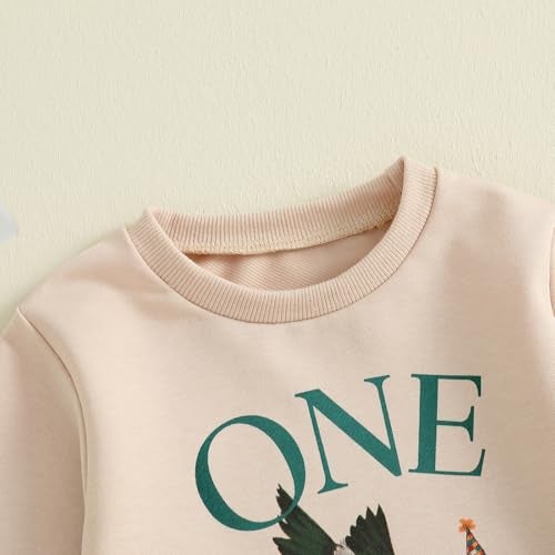 Frietlebird First Birthday Outfit Boy 1st Birthday Outfit Boy Long Sleeve One Lucky Duck Sweatshirt Pants Cake Smash Clothes (C-Beige Green,12-18 Months) - Image 4