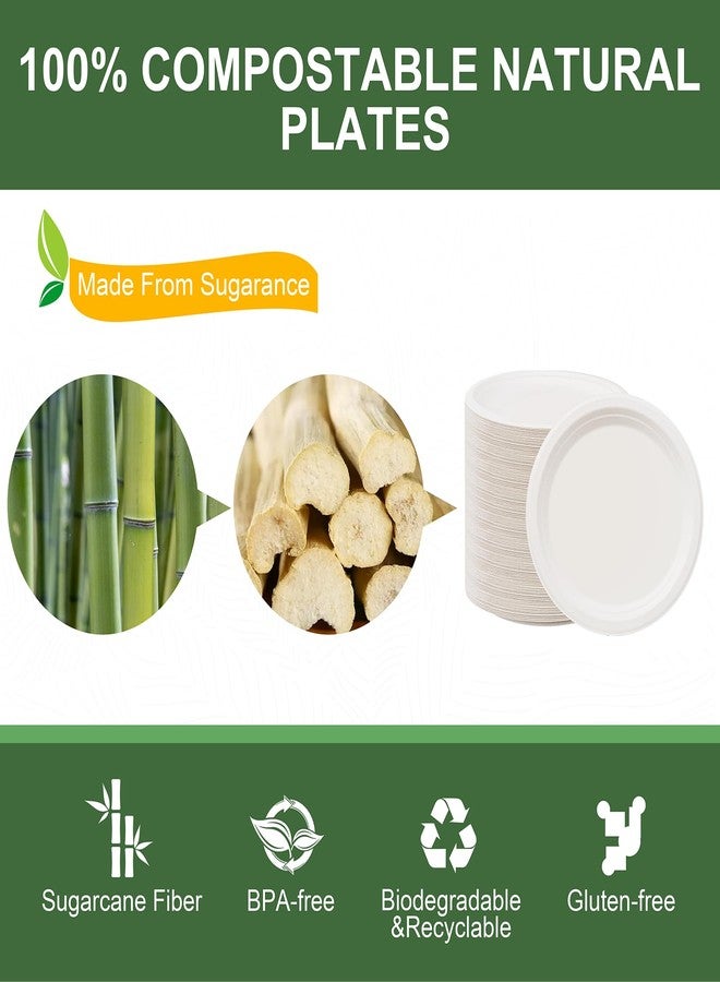 WELLIFE 100% Compostable Paper Plates 7 Inch, 125-Pack Heavy Duty Paper Plates Bulk,Biodegradable Bagasse,Eco-Friendly Disposable Dessert Plates for BBQ,Picnic,Party (BPI Certified,Microwaveable) - Image 4