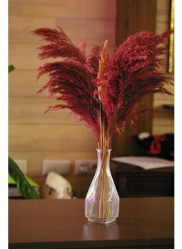 8-Piece Large Bunch Pampas Dark Fuchsia 100CM Length