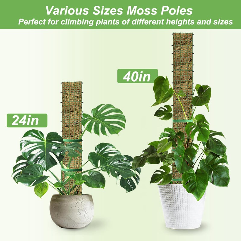 HOLANHING 60"/40"/24" Metal Moss Pole, D Shape Sphagnum Moss Pole, Moss Poles for Climbing Plants, Monstera, Indoor Climbing Plants (2 Each of 40" 24") - Image 2