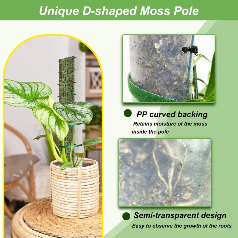 HOLANHING 60"/40"/24" Metal Moss Pole, D Shape Sphagnum Moss Pole, Moss Poles for Climbing Plants, Monstera, Indoor Climbing Plants (2 Each of 40" 24") - Image 3