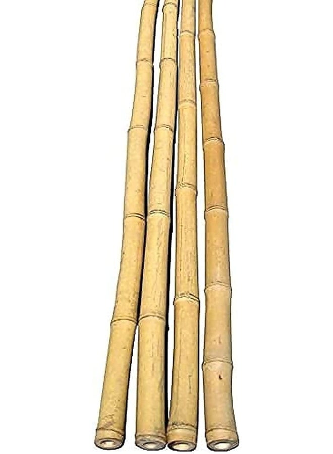 Egardenkart Natural Bamboo Pole/Stake 5 Pieces , 300Cm  - Image 1