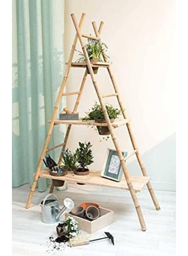 Egardenkart Natural Bamboo Pole/Stake 5 Pieces , 300Cm  - Image 3