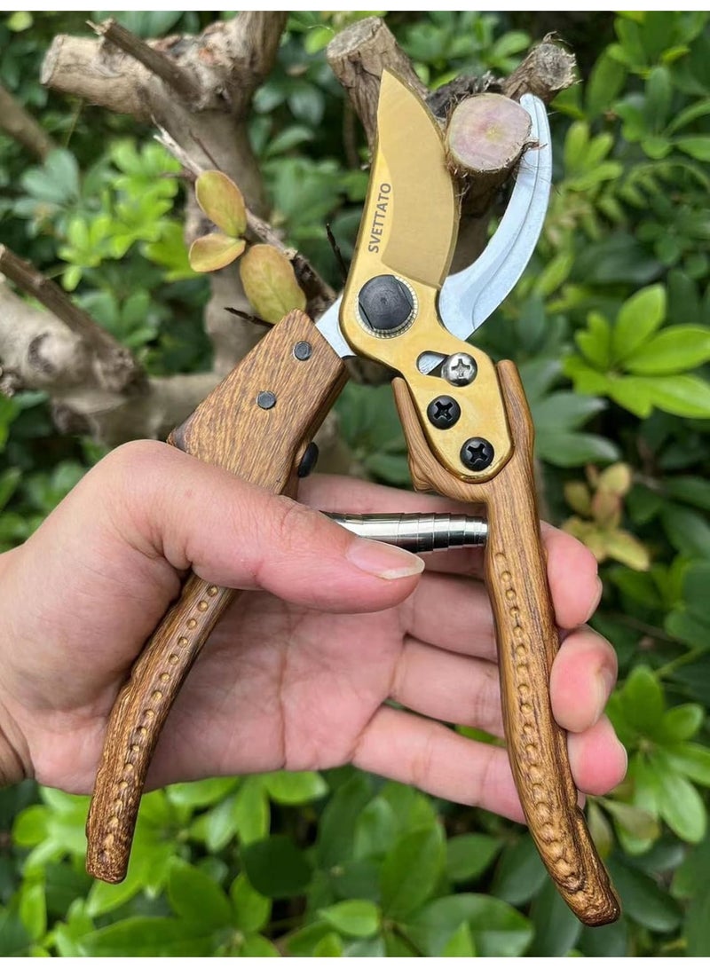 SOLARAE مقصات الحدائق، مقصات تقليم متقدمة لحديقتك، للقطع، والتشذيب، والحصاد، شفرة من الفولاذ المقاوم للصدأ الياباني، تقطع أي شيء في حديقتك - Image 4