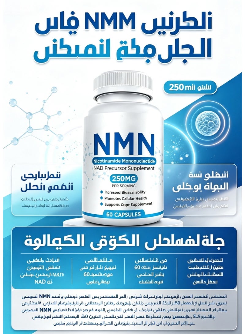 MAAC10 Formulas Nicotinamide mononucleotide capsule Dilute Dark Spots, Brighten Skin, Hyperpigmentation Care, Anti-aging Capsule 60 Capsules 250mg - Image 1