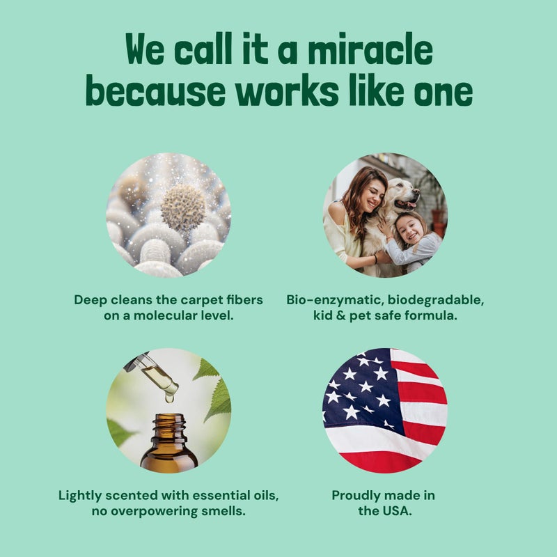 Sunny & Honey Carpet Shampoo & Cleaning Solution - 32 Fl Oz Spring Mint Scent - Pet Carpet Cleaner Machine Solution - Rug & Upholstery Cleaner - Stain Remover & Odor Deodorizer - Image 3