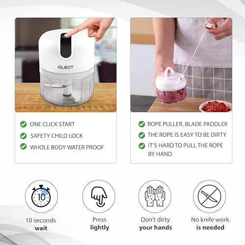 Qlect Automatic Electric Chopper for Kitchen | Rechargeable Wireless Chopper | Stainless Steel Blades | One Touch Cutter for Onion Vegetables Garlic Ginger Meat Fruits (250ml White | 1 Year Warranty) - Image 4
