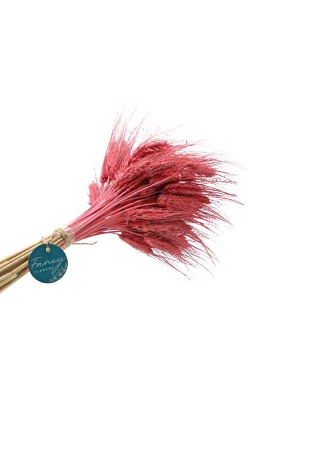 Generic Natural Dried Wheat Grass Bundle Artificial Wheat Dried Flower Old Rose  - Image 4