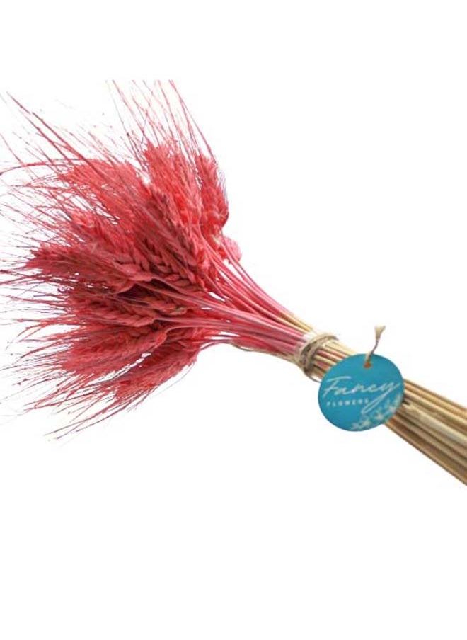 Generic Natural Dried Wheat Grass Bundle Artificial Wheat Dried Flower Old Rose  - Image 1