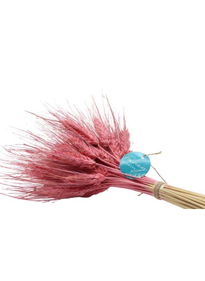 Generic Natural Dried Wheat Grass Bundle Artificial Wheat Dried Flower Old Rose  - Image 3