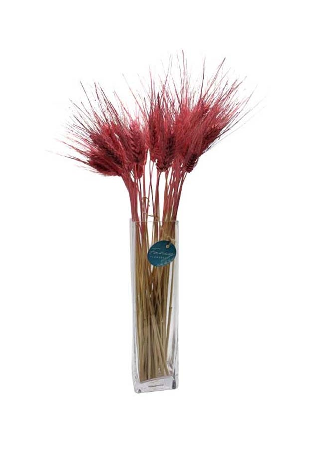 Generic Natural Dried Wheat Grass Bundle Artificial Wheat Dried Flower Old Rose  - Image 2