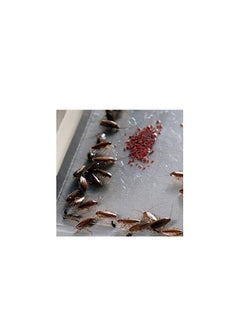 Goodbye 20 Sets of Roach House Cockroach Killer Sticky Strong Glue Trap  - Image 4