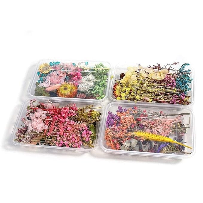KRYTONE.Fx® Natural Real Dried Flowers for Art Craft Mixed Soap, Candle, Scrapbook, DIY, Resin Tray Jewellery, Pendant- [Random Box, Multicolour] (1 Box) - Image 1