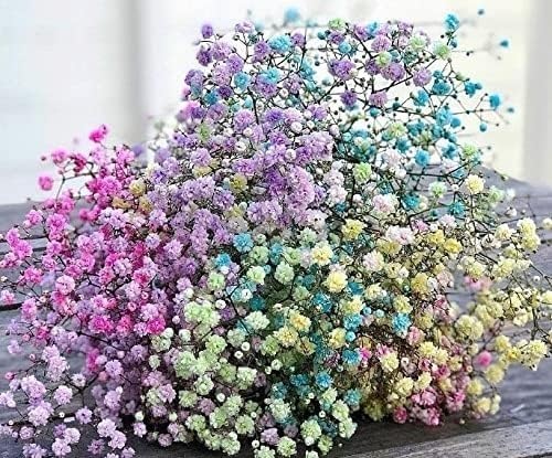 KRYTONE.Fx® Natural Real Dried Flowers for Art Craft Mixed Soap, Candle, Scrapbook, DIY, Resin Tray Jewellery, Pendant- [Random Box, Multicolour] (1 Box) - Image 2