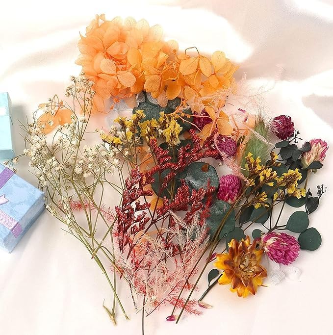 KRYTONE.Fx® Natural Real Dried Flowers for Art Craft Mixed Soap, Candle, Scrapbook, DIY, Resin Tray Jewellery, Pendant- [Random Box, Multicolour] (1 Box) - Image 3