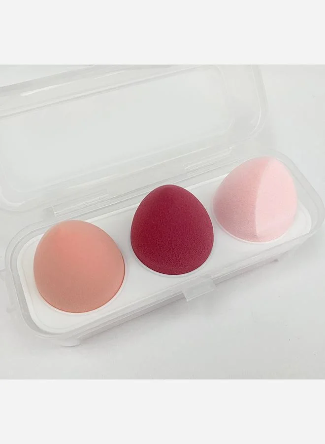 Styli Set of 3 - Multi Sponge Blender with Storage Box